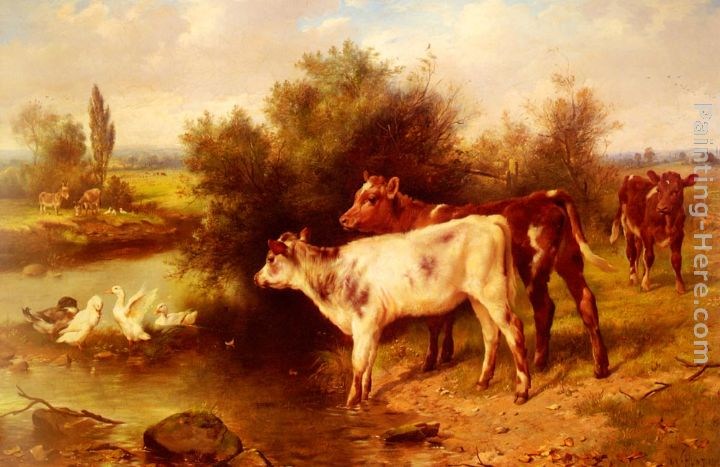 Walter Hunt Calves Watering